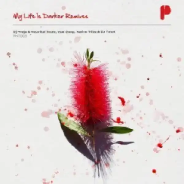SoulKiD Bdub - My Life Is Darker (DJMreja & Neuvikal Soule Dub Mix)